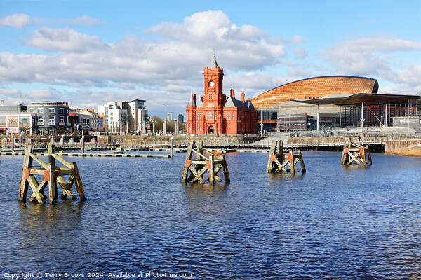 Cardiff Bay, the Pierhead Building, Senedd and Millenium Centre Picture Board by Terry Brooks