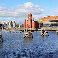 Buy canvas prints of Cardiff Bay, the Pierhead Building, Senedd and Millenium Centre by Terry Brooks