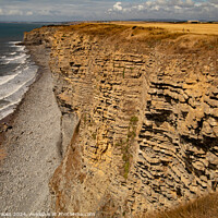 Buy canvas prints of Heritage Coast South Wales by Terry Brooks