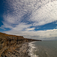 Buy canvas prints of Heritage Coast South Wales by Terry Brooks