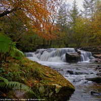 Buy canvas prints of Autumn Waterfall Pont Cwmfedwen, Wales by Terry Brooks