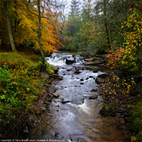 Buy canvas prints of Pont Cwmfedwen Autumn Waterfall by Terry Brooks