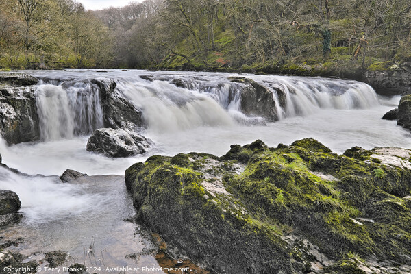 Cenarth Waterfall Picture Board by Terry Brooks