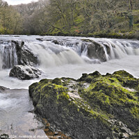 Buy canvas prints of Cenarth Waterfall by Terry Brooks