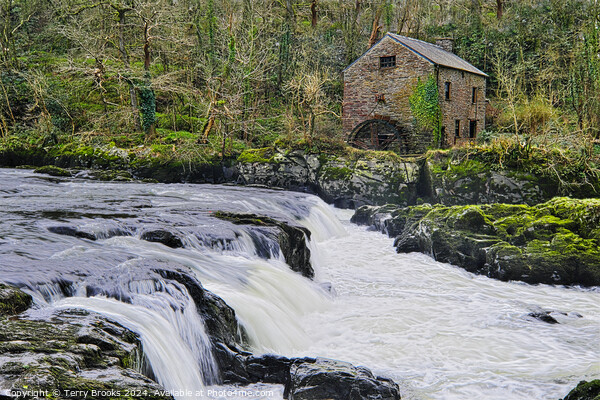 Cenarth Waterfall and Flour Mill Picture Board by Terry Brooks