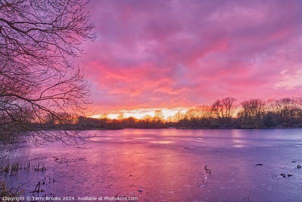 Sunset over Frozen Lake Picture Board by Terry Brooks