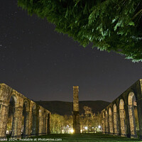Buy canvas prints of Ynyscedwyn Ironworks and Orion's Belt by Terry Brooks