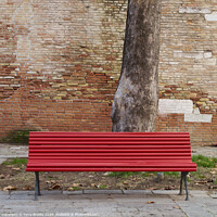 Buy canvas prints of Solitary Red Bench in Venice Italy by Terry Brooks