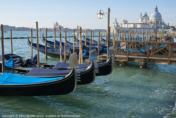 Venice Gondolas on Canale della Giudecca Picture Board by Terry Brooks