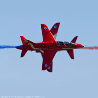 Buy canvas prints of Red Arrows Fast Pass by Terry Brooks