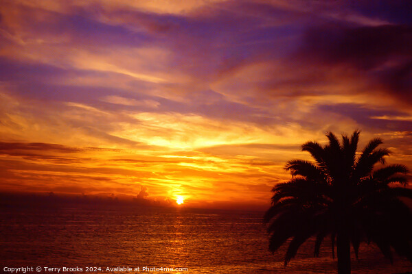 Sunset on Clearwater Beach Florida 1989 Picture Board by Terry Brooks