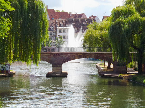 Strasbourg River, Bridge and Fountain Picture Board by Terry Brooks