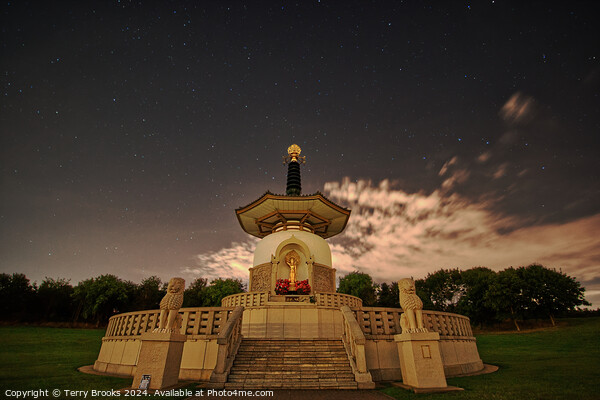 Peace Pagoda Night Sky Picture Board by Terry Brooks