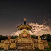 Buy canvas prints of Peace Pagoda Night Sky by Terry Brooks