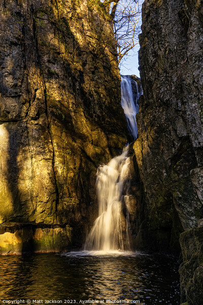 Catrigg Force Picture Board by Matt Jackson