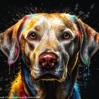 Buy canvas prints of Labrador Colour Art by Craig Doogan Digital Art