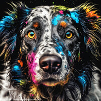 Buy canvas prints of Colour Splash Border Collie by Craig Doogan Digital Art