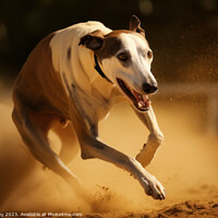 Buy canvas prints of Greyhound Racing by Craig Doogan Digital Art