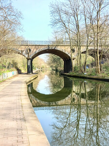 Serenity on Regent's Canal Picture Board by Peter Lewis