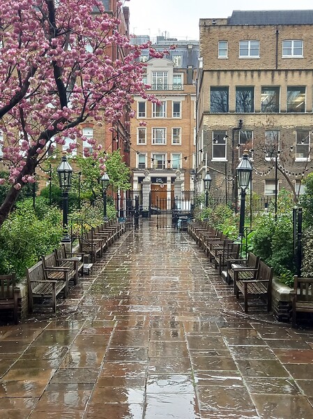 Rainy afternoon in Covent Garden  Picture Board by Peter Lewis