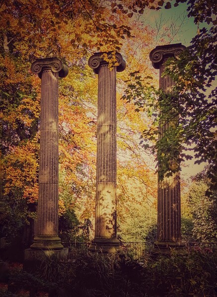Trio of Ionic Columns in Autumn Picture Board by Peter Lewis
