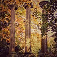 Buy canvas prints of Trio of Ionic Columns in Autumn by Peter Lewis