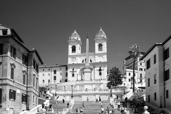Black and White Spanish Steps - Eternal Rome Picture Board by Stefano Senise