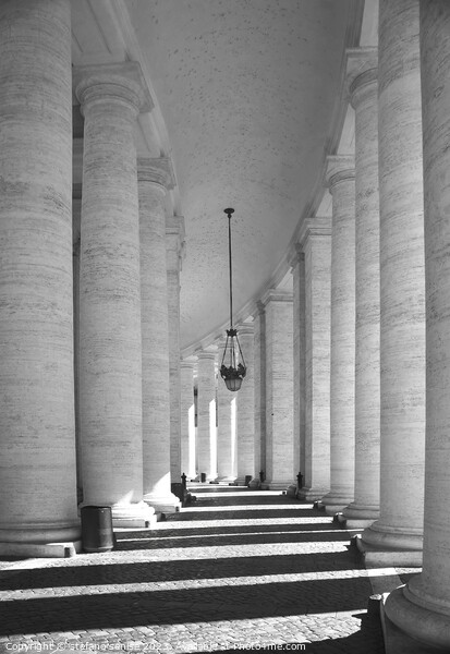Vatican - The Colonnade at St. Peter's Basilica Picture Board by Stefano Senise