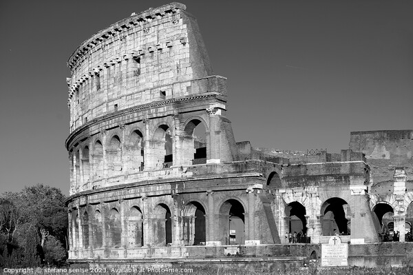 Magestic Colosseum Black & White Picture Board by Stefano Senise