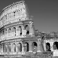 Buy canvas prints of Magestic Colosseum Black & White by Stefano Senise