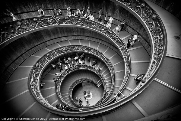 Vatican Museums Spiral Staircase Picture Board by Stefano Senise