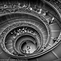 Buy canvas prints of Vatican Museums Spiral Staircase by Stefano Senise