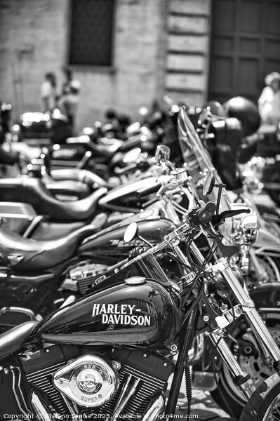 Row of parked Harley motorcycles Picture Board by Stefano Senise