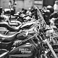 Buy canvas prints of Row of parked Harley motorcycles by Stefano Senise