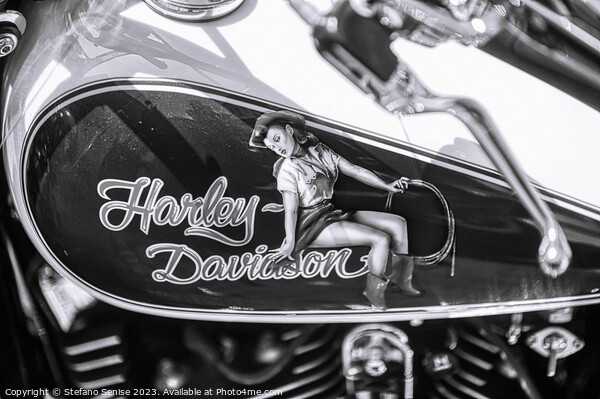Harley Davidson Pin Up Picture Board by Stefano Senise