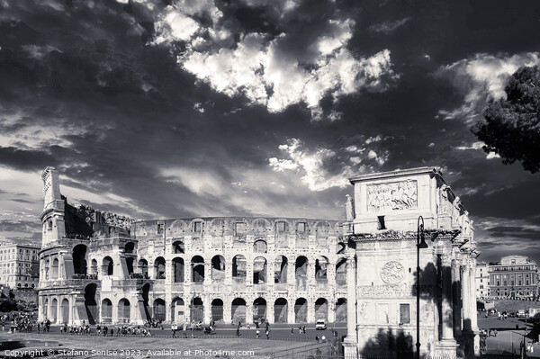 The Colosseum black and white - Rome Picture Board by Stefano Senise