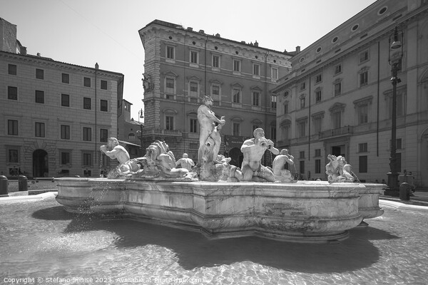 Piazza Navona - Fontana del Moro Picture Board by Stefano Senise