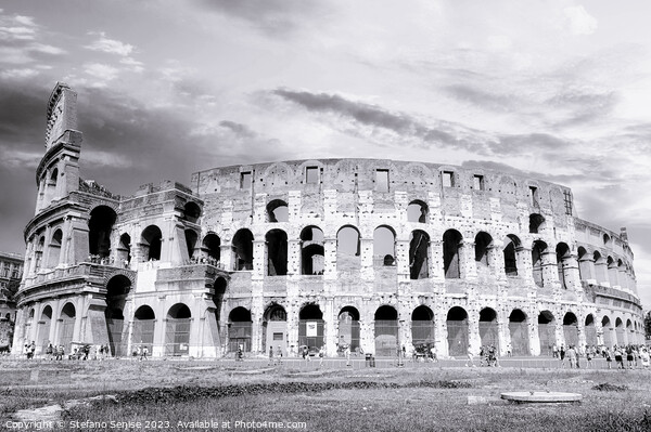 The Iconic Colosseum An Eternal Marvel Picture Board by Stefano Senise