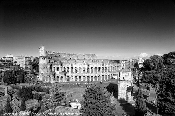 Roman Colosseum - Piazza del Colosseo Black And Wh Picture Board by Stefano Senise
