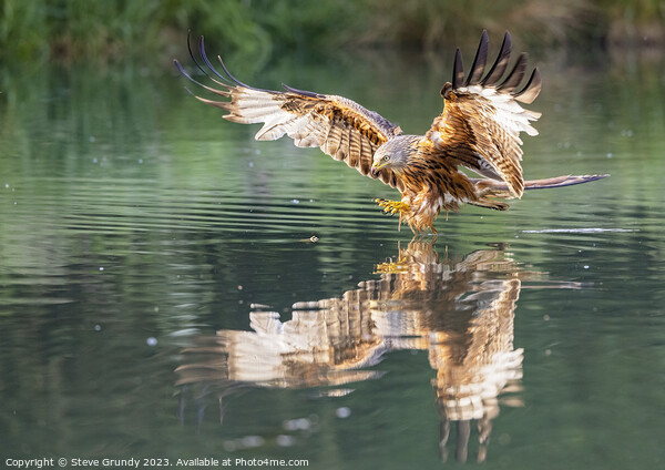 Red Kite Fishing Picture Board by Steve Grundy