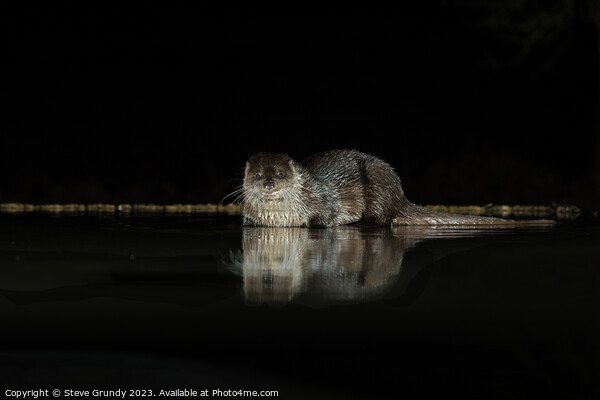 The Mysterious Otter Glimpse Picture Board by Steve Grundy