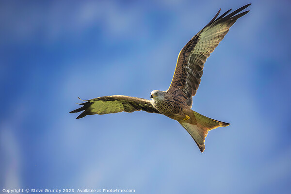 Acrobatic Red Kite Picture Board by Steve Grundy