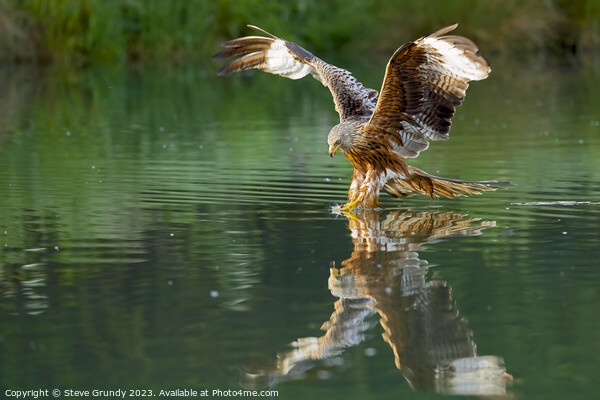 Red Kite Fishing Picture Board by Steve Grundy