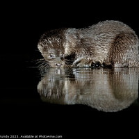 Buy canvas prints of Otter Caught in the Act by Steve Grundy