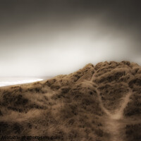 Buy canvas prints of Windswept Dunes by Martin Plomer