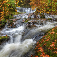 Buy canvas prints of Autumnal View of Lower Cascade of Stock Ghyll Force, Ambleside, Lake District, Cumbria by Steve 