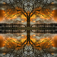 Buy canvas prints of Stormy Mirrored Tree by Steve 