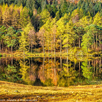 Buy canvas prints of Beautiful Autumn Reflections on Blea Tarn, Lake District National Park, Cumbria by Steve 