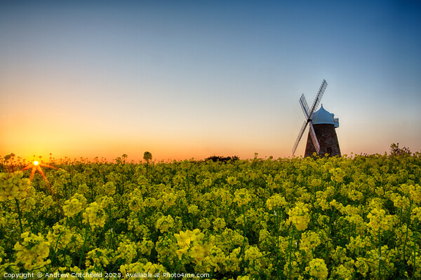 Halnaker Windmill at Sunset Picture Board by Andy Critchfield