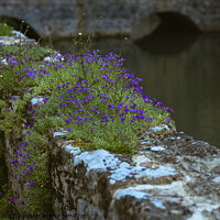 Buy canvas prints of Moat Wall by Tom Lloyd